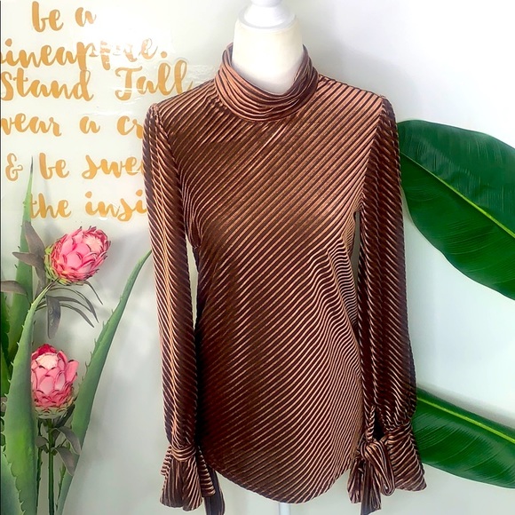FOREVER 21 Cooper Velvet Slim Stripe Bow LS Top